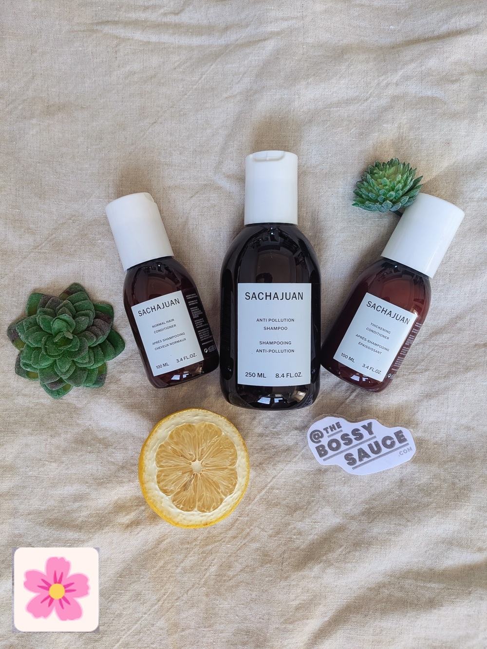 SACHAJUAN Haircare Trio w/ Shampoo + Conditioner NWT